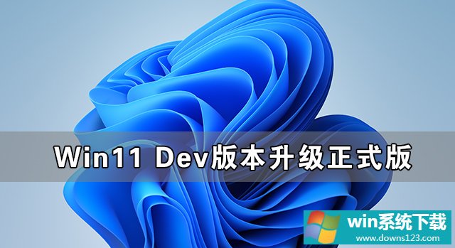 Win11 Dev汾ʽ