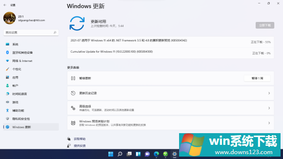 Windows11 22000.100