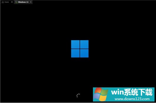 Windows11 proصַ